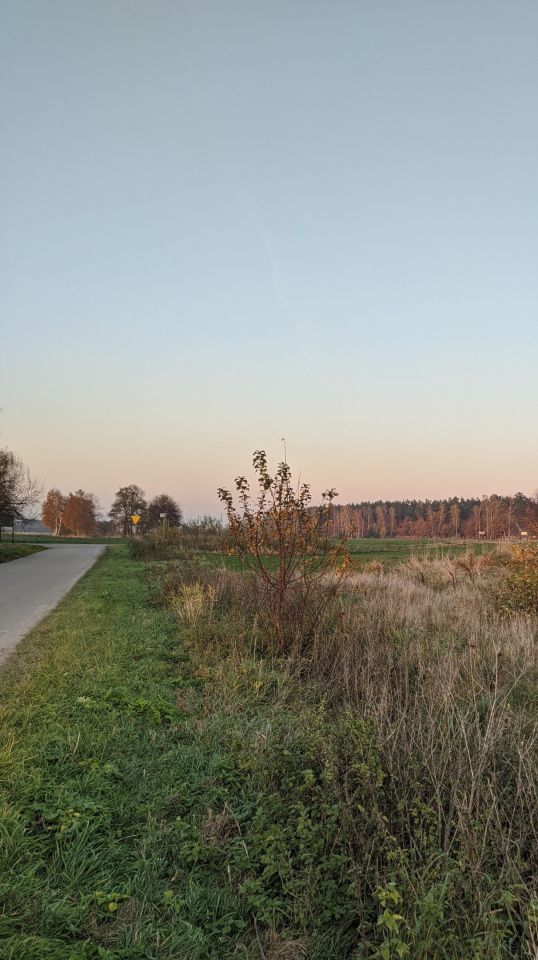 Działka rolna Śniechy. Zdjęcie 2