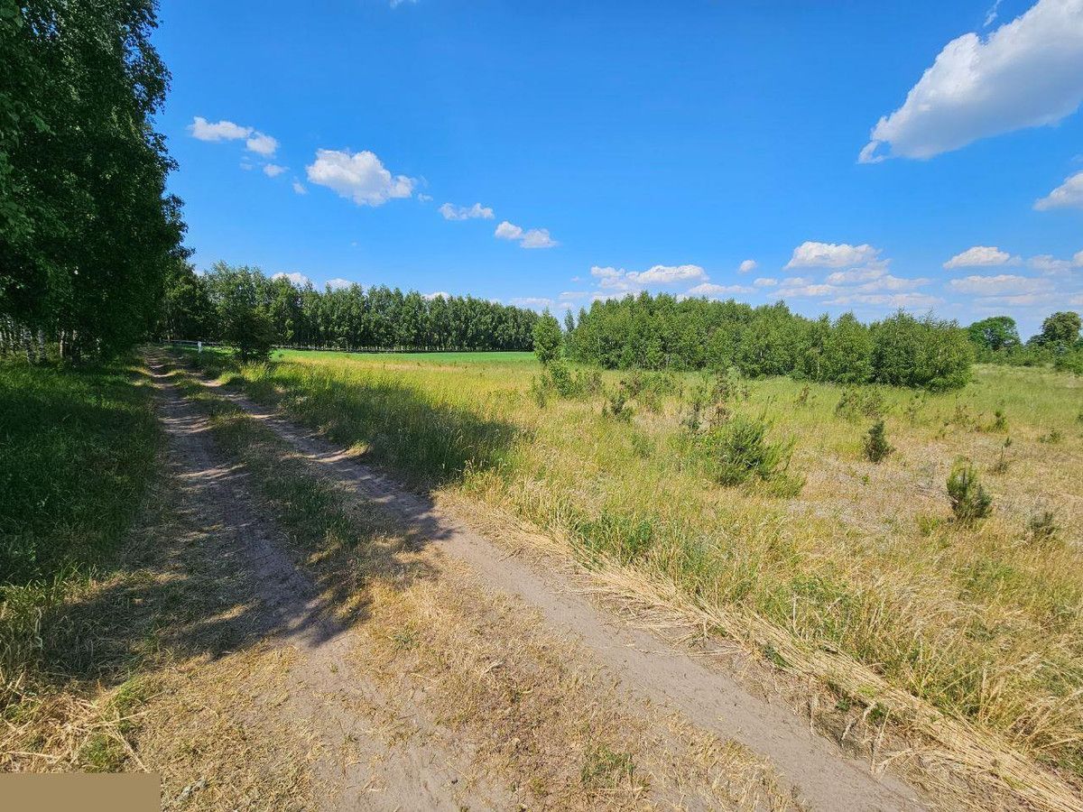 Działka rolno-budowlana Szymonka. Zdjęcie 7