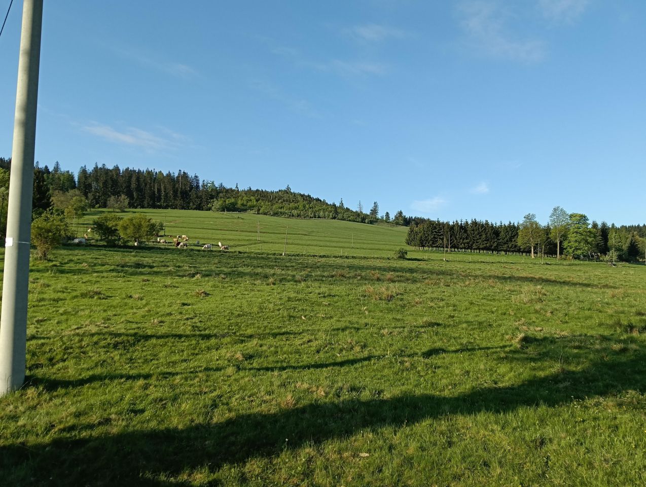Działka budowlana Dworki. Zdjęcie 15