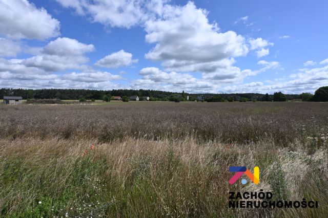 Działka budowlana Niedoradz. Zdjęcie 8