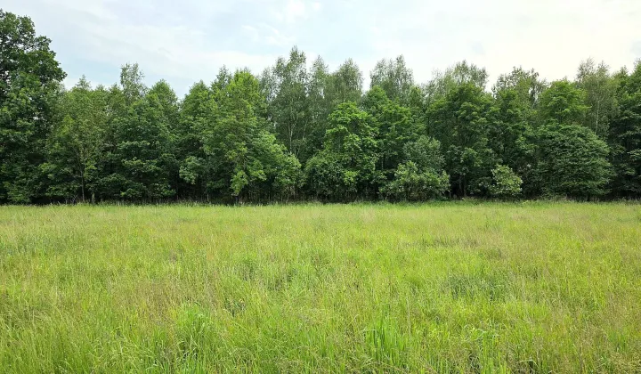 Działka budowlana Bieczyny