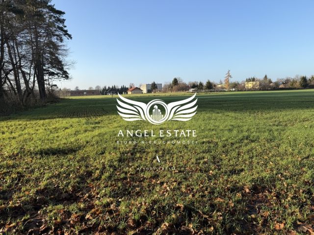 Działka rolna Mirosławice. Zdjęcie 1