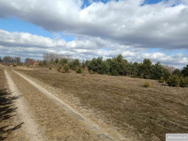 Działka budowlana Chinów. Zdjęcie 1