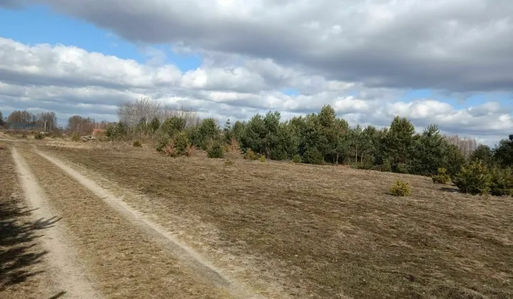 Działka budowlana Chinów