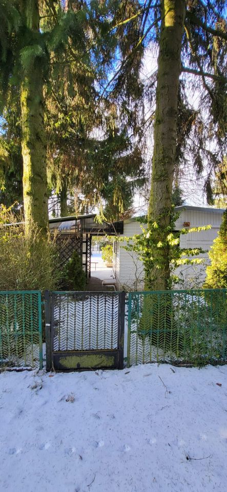 Działka rod Romanów, Romanów 18A. Zdjęcie 6