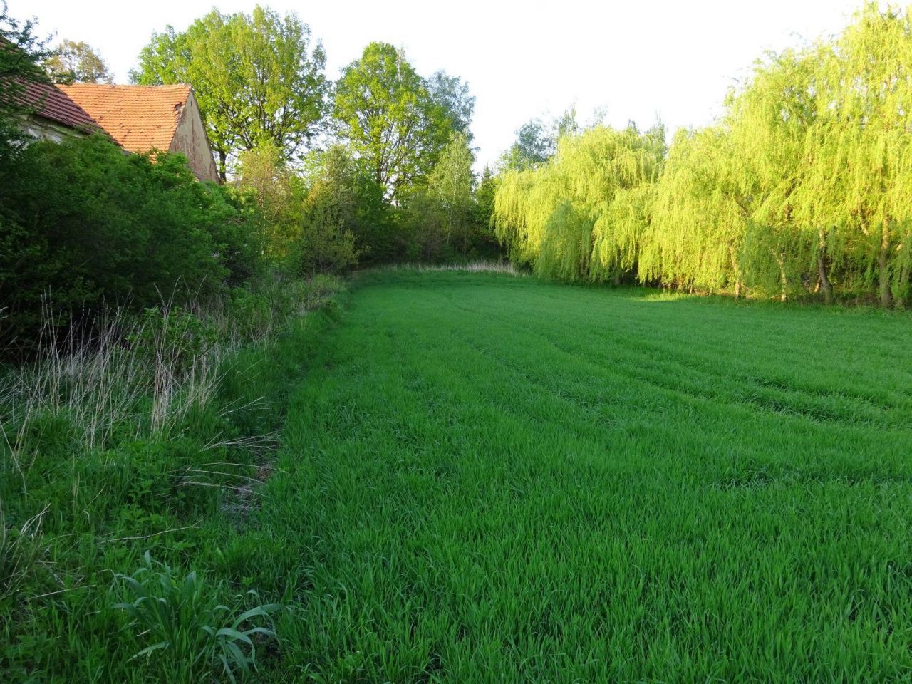 Działka budowlana Olbrachcice Wielkie. Zdjęcie 4