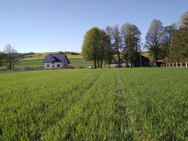 Działka budowlana Wiercany Brzeźnik Północny. Zdjęcie 2