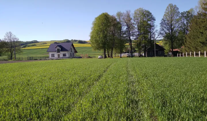 Działka budowlana Wiercany Brzeźnik Północny