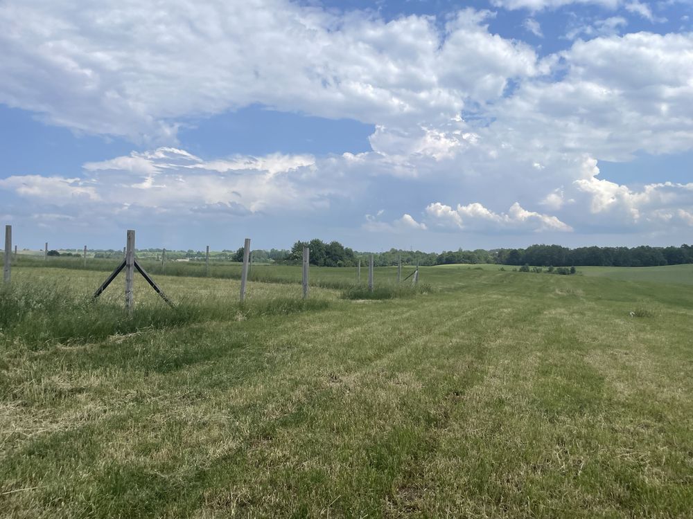 Działka budowlana Muntowo. Zdjęcie 5