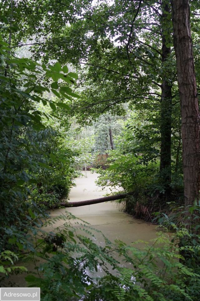 dom wolnostojący, 5 pokoi Radogoszcz. Zdjęcie 17