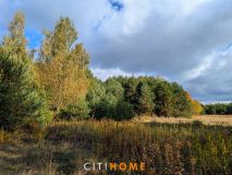 Działka siedliskowa Czarnowiec. Zdjęcie 4