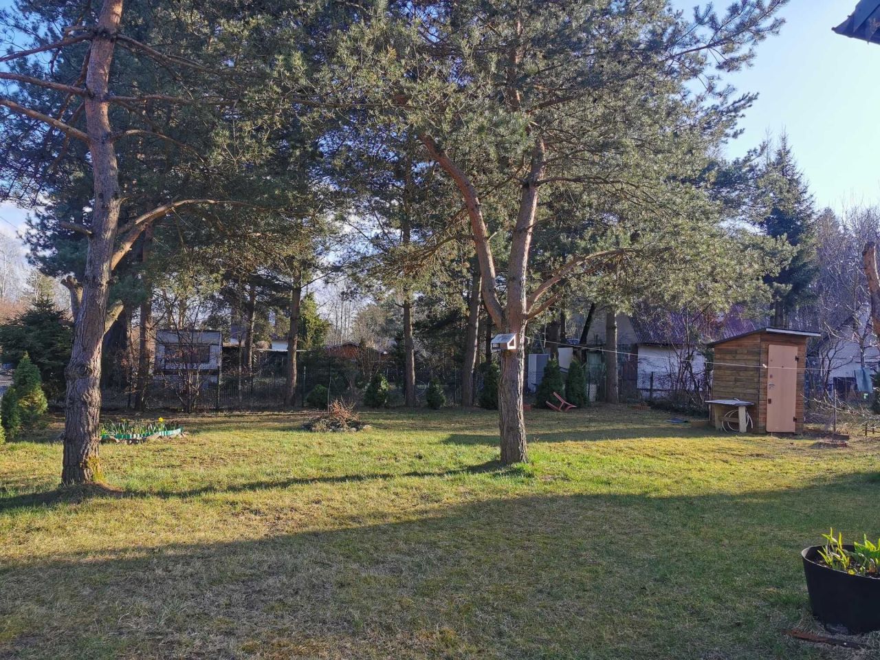 Działka rod Gdańsk Osowa. Zdjęcie 4