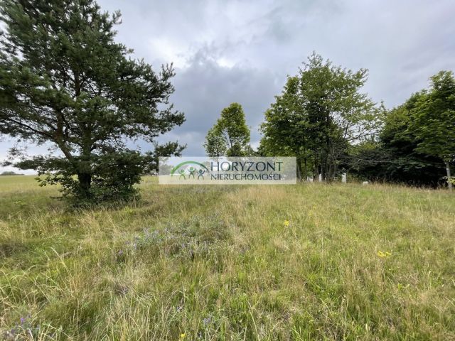 Działka Nowa Wieś Przywidzka. Zdjęcie 6