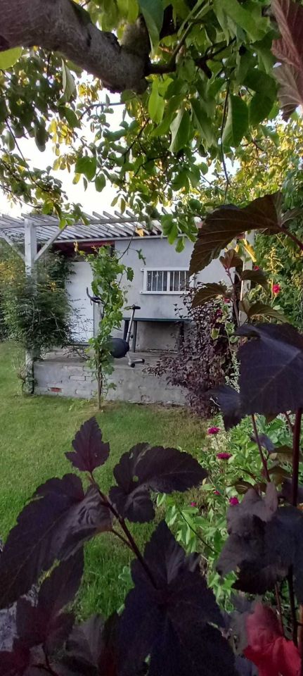 Działka rod Słupsk, ul. Józefa Piłsudskiego. Zdjęcie 7