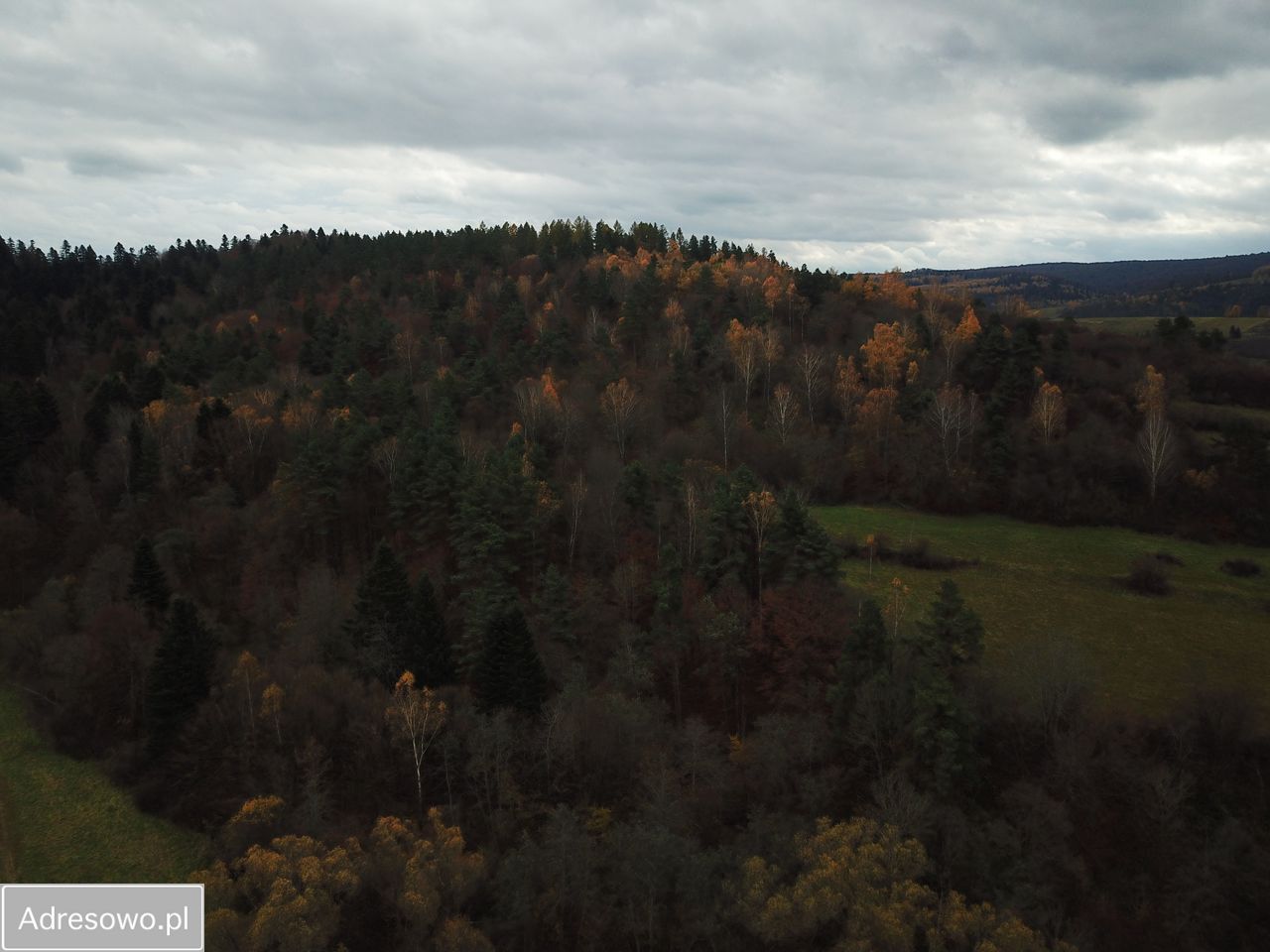 Działka siedliskowa Wojtkówka. Zdjęcie 3