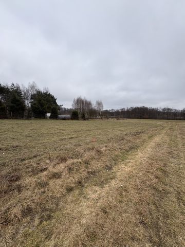 Działka budowlana Sądrożyce Dąbrowa. Zdjęcie 1