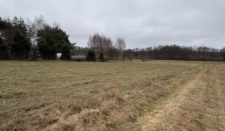 Działka budowlana Sądrożyce Dąbrowa