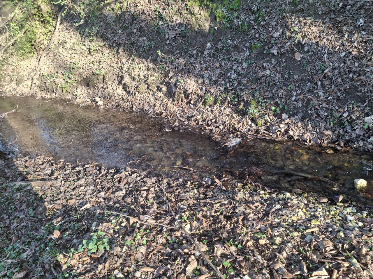 Działka rolno-budowlana Wierzchowie Pradła, ul. Słoneczna. Zdjęcie 4