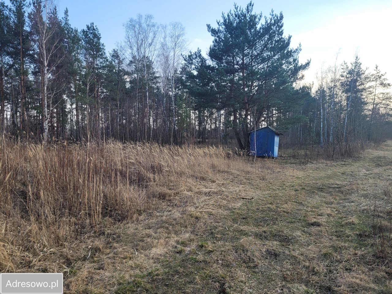 Działka inwestycyjna Nowy Konik. Zdjęcie 2