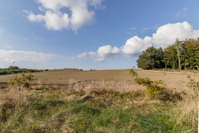 Działka rekreacyjna Choczewo, ul. Jeziorna. Zdjęcie 18
