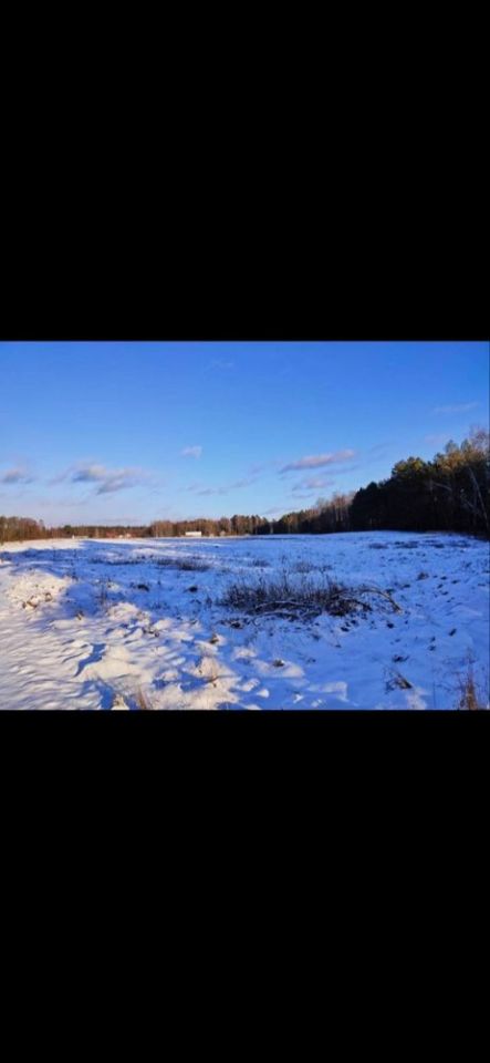 Działka rolna Strękowizna. Zdjęcie 5