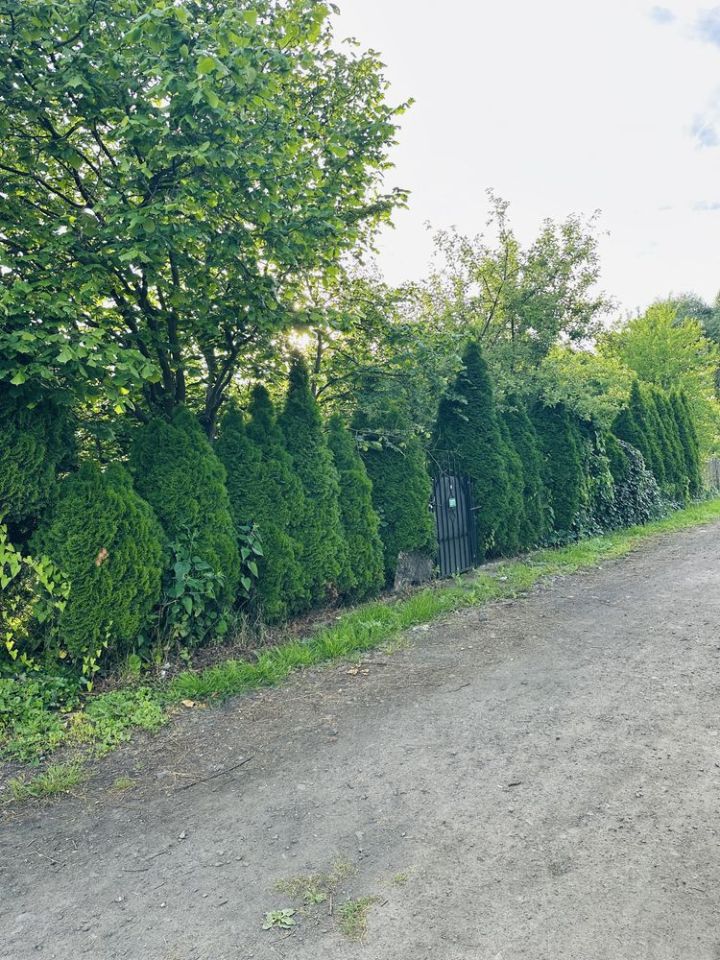 Działka rod Szczecin Dąbie, ul. Henryka Jordana. Zdjęcie 7