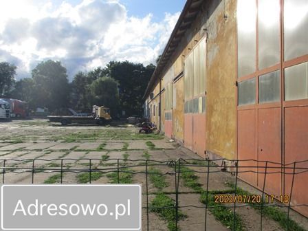 Hala/magazyn Jastrowie, Byszki. Zdjęcie 17