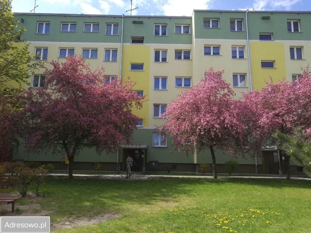 Mieszkanie 3-pokojowe Iława, ul. Marii Skłodowskiej-Curie. Zdjęcie 1