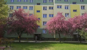 Mieszkanie 3-pokojowe Iława, ul. Marii Skłodowskiej-Curie
