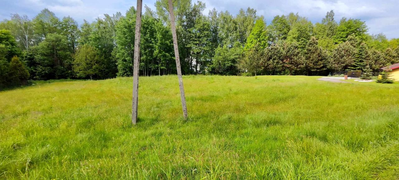 Działka budowlana Jastrzębie-Zdrój Ruptawa, ul. Przemysłowa. Zdjęcie 2