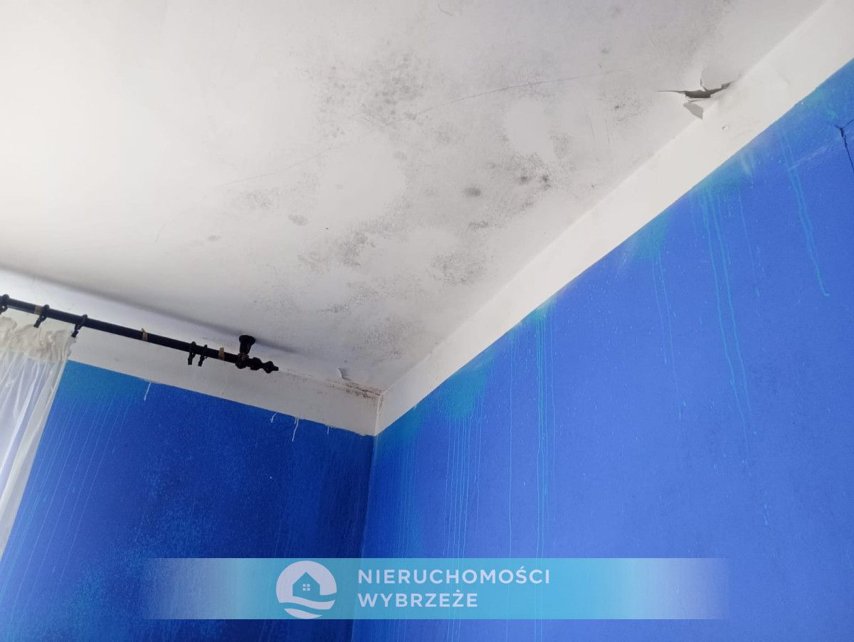 Mieszkanie 3-pokojowe Piotraszewo. Zdjęcie 25