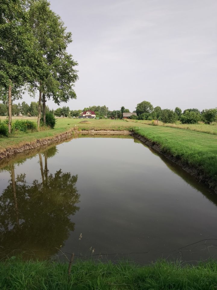 dom wolnostojący, 5 pokoi Żytno, ul. Konopnickiej. Zdjęcie 7