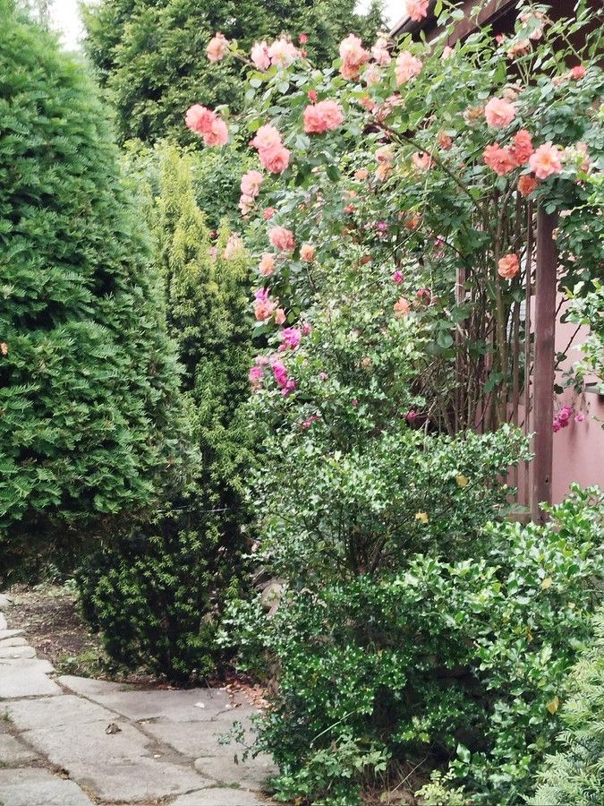 dom wolnostojący, 6 pokoi Iwiny, ul. Tadeusza Kościuszki. Zdjęcie 14