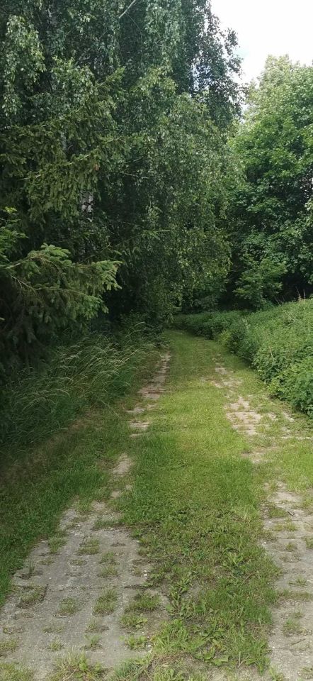 Działka budowlana Gostycyn. Zdjęcie 6