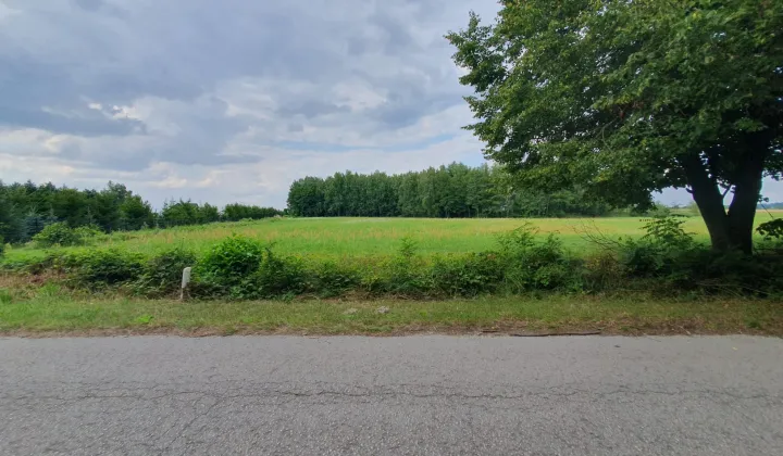 Działka budowlana Szczutkowo, brak