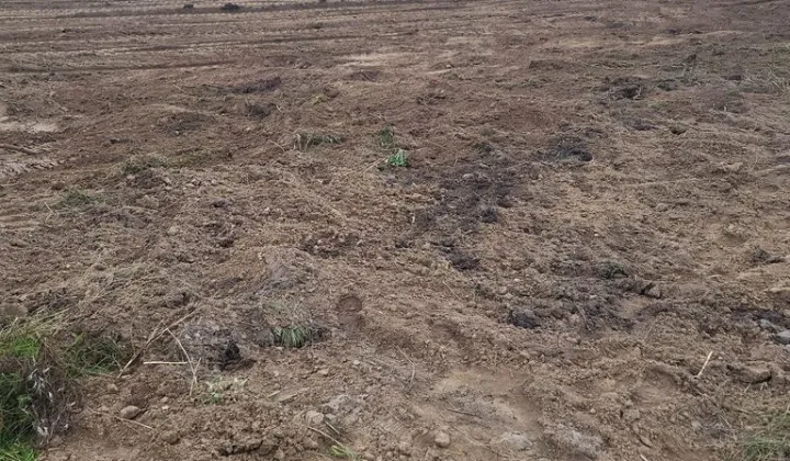 Działka Chłopy, ul. Widokowa