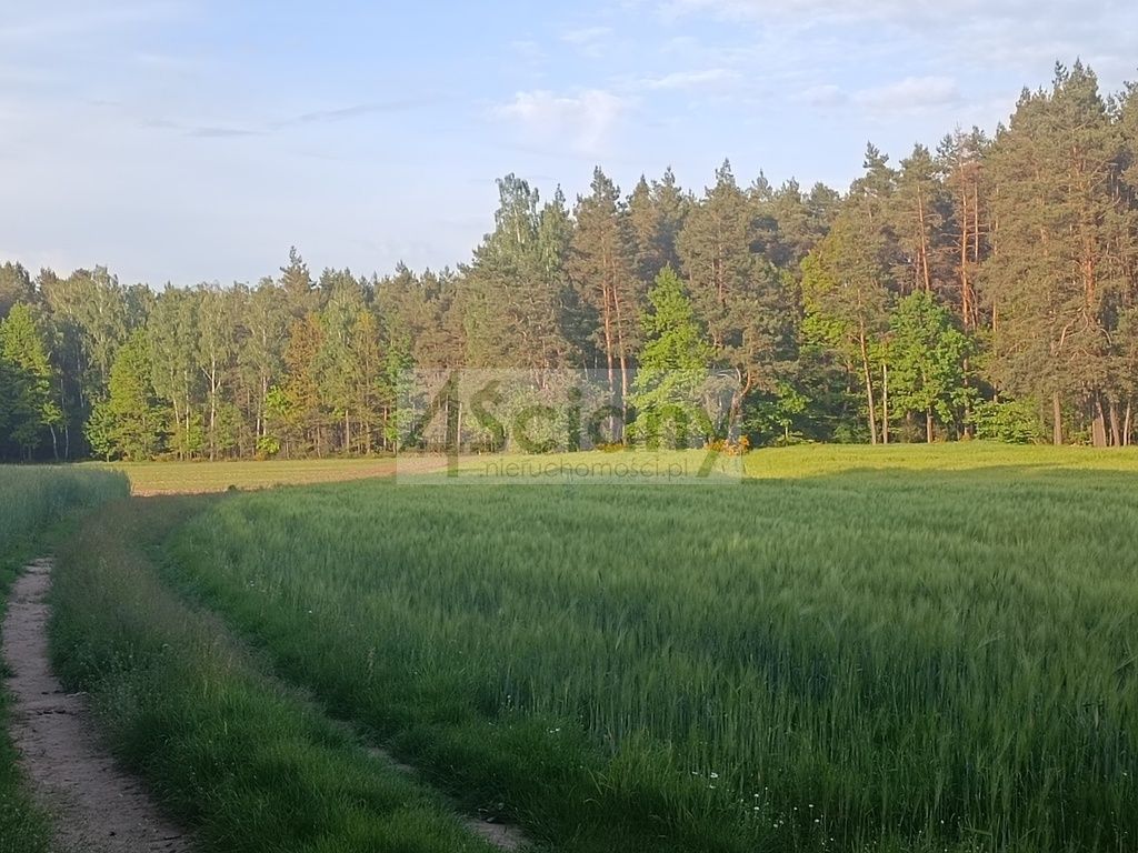 dom wolnostojący, 3 pokoje Wyszonki-Klukówek. Zdjęcie 49