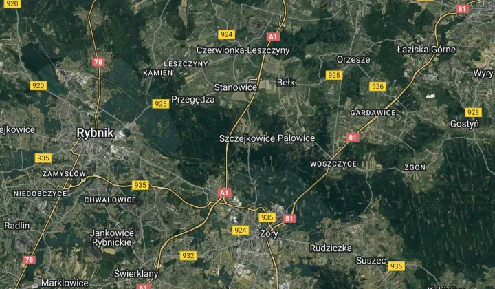 Działka leśna Szczejkowice Nowa Wieś, ul. Gliwicka