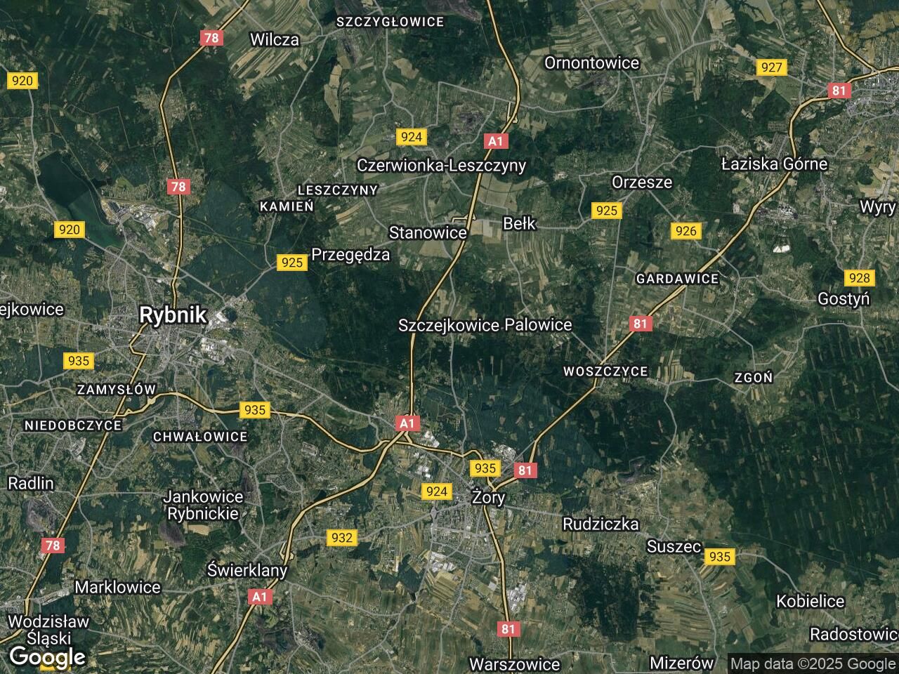 Działka leśna Szczejkowice Nowa Wieś, ul. Gliwicka