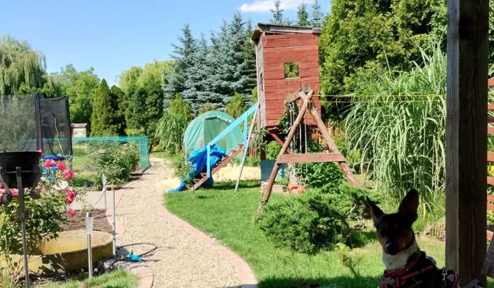 Działka rod Jarocin