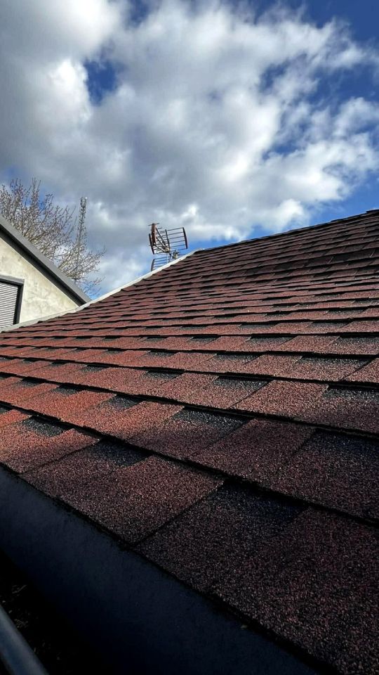 Działka rekreacyjna Toruń Czerniewice, ul. Rypińska. Zdjęcie 7