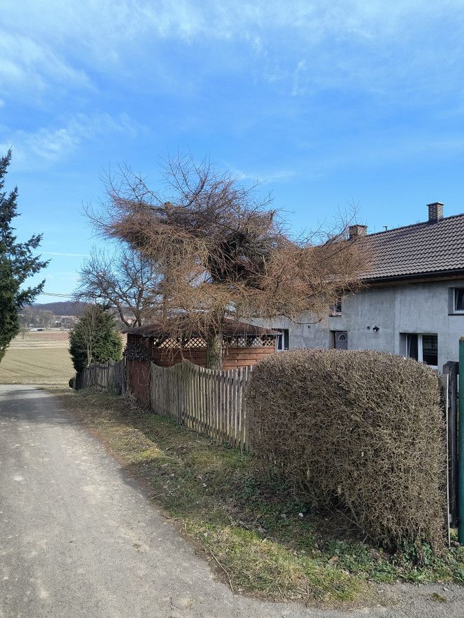 dom wolnostojący, 3 pokoje Ścinawka Dolna. Zdjęcie 6