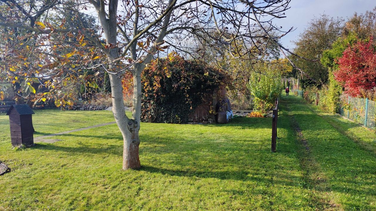 Działka rod Pruszcz Gdański. Zdjęcie 3