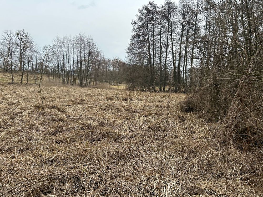 Działka budowlana Pyrzyce, ul. Adama Mickiewicza. Zdjęcie 3