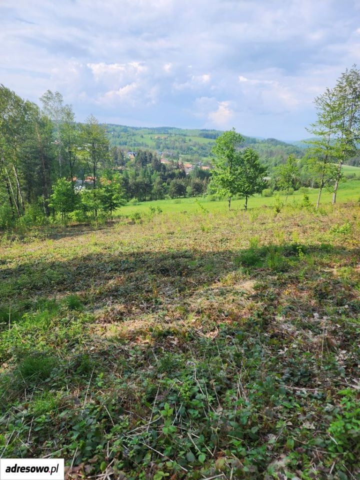 Zdjęcie 6