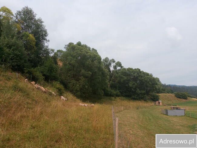 Działka budowlana Łopuszna. Zdjęcie 1