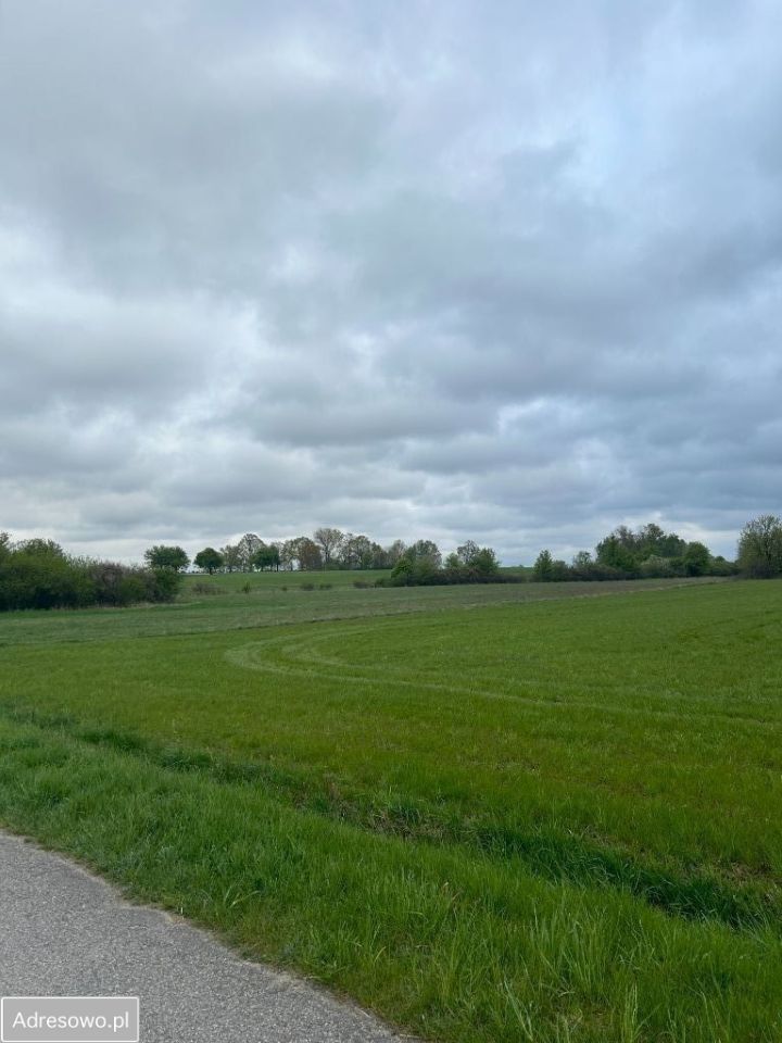 Działka budowlana Dzbanice. Zdjęcie 5