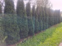 Działka rod Pawłowice, ul. Poligonowa. Zdjęcie 2