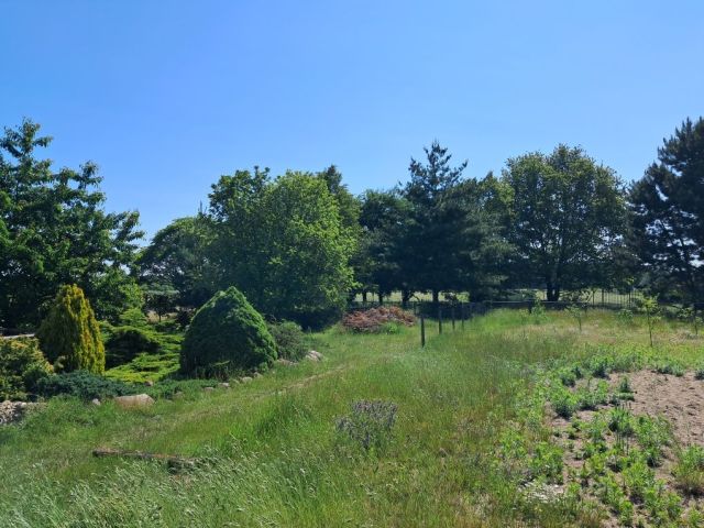 Działka budowlana Twarda, ul. Południowa. Zdjęcie 1