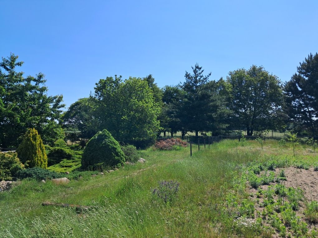 Działka budowlana Twarda, ul. Południowa